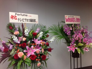f:id:aerodynamik:20120128175033j:image:w150