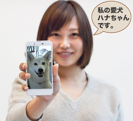 愛犬ハナの写真をスマホに記録している女性