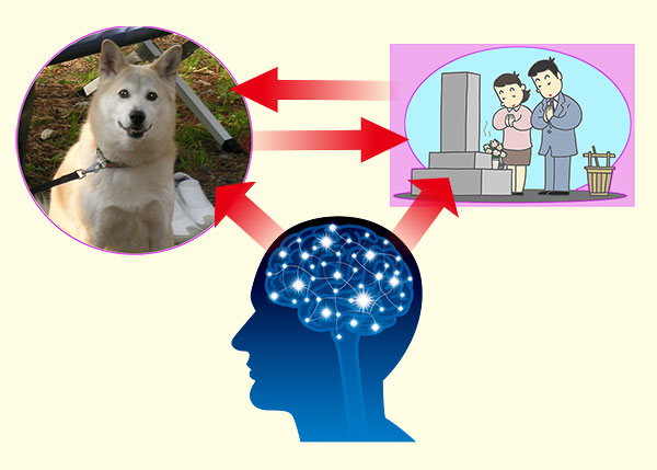 愛犬と墓参りをイメージしている画像