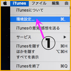 iTunesの環境設定画面