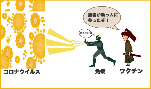 コロナウイルスと戦う免疫とワクチン