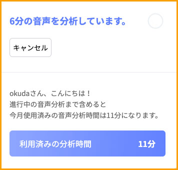 Vrewの分析画面