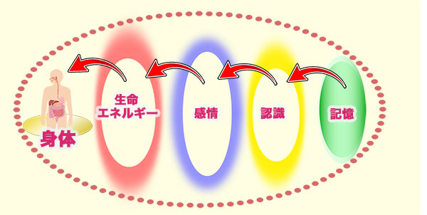 身体に影響を与える心のつながり