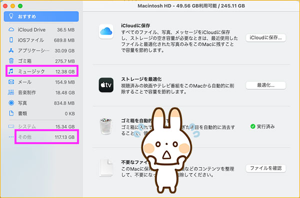 MACのストレージ使用内容