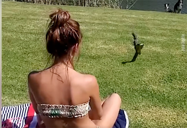 蛇をつかむ女性