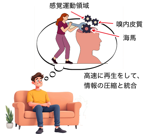 休憩すると、今までの練習スキルを脳が整理する