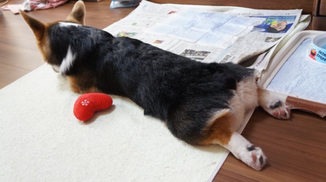 f:id:affiliate_with:20150113124205j:image f:id:affiliate_with:20150113124205j:image