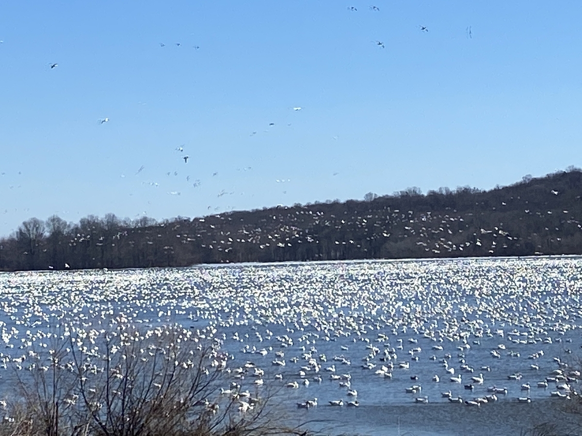 f:id:afreshstart:20210408064933j:plain