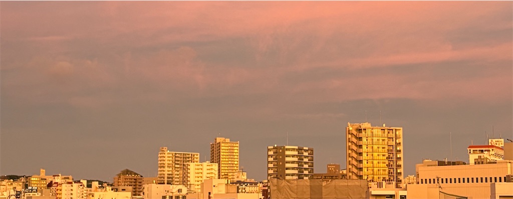 f:id:africakari:20251018204648j:image