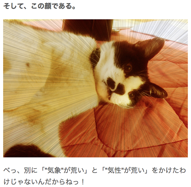 f:id:afrokanchan:20161014144359p:plain f:id:afrokanchan:20161014144359p:plain