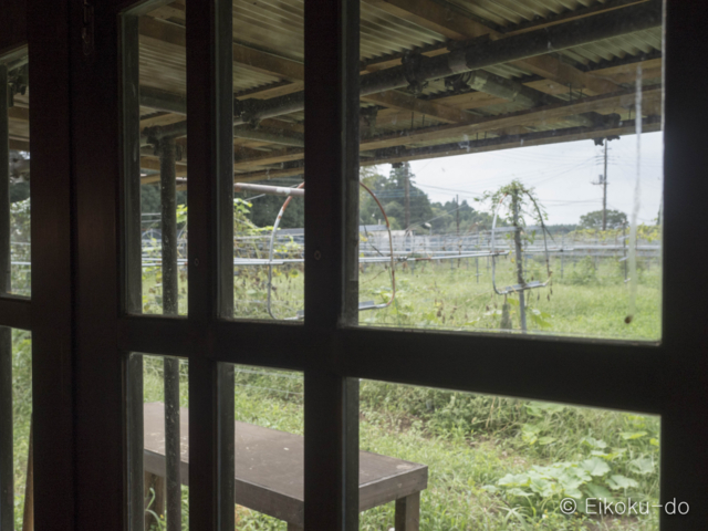 f:id:afromanjaro:20160929133200j:plain f:id:afromanjaro:20160929133200j:plain