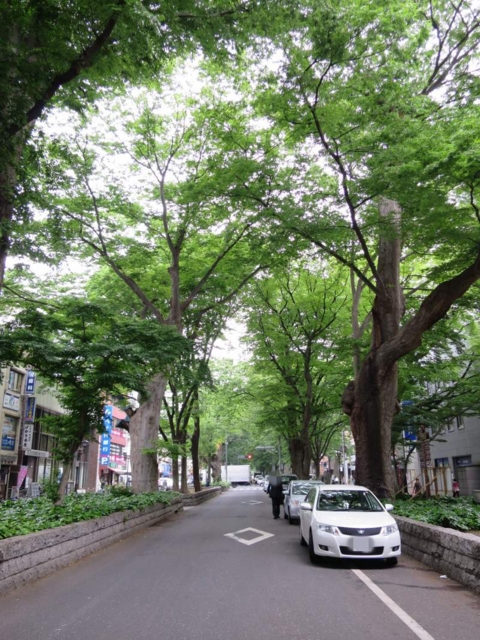 1a01c1d6.jpg