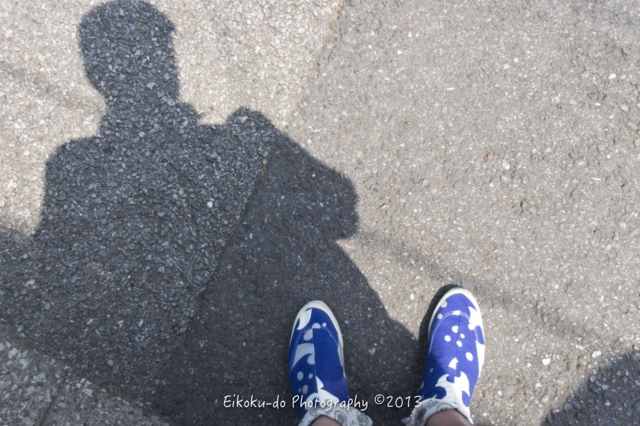 f:id:afromanjaro:20170708123048j:plain