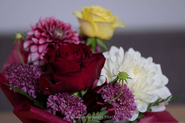 f:id:afromanjaro:20180620161902j:plain f:id:afromanjaro:20180620161902j:plain