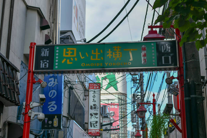 f:id:afromanjaro:20181126203824j:plain