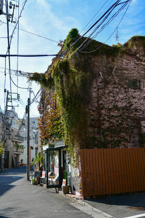 f:id:afromanjaro:20181216131657j:plain f:id:afromanjaro:20181216131657j:plain