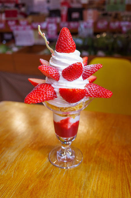 f:id:afromanjaro:20210118194814j:plain