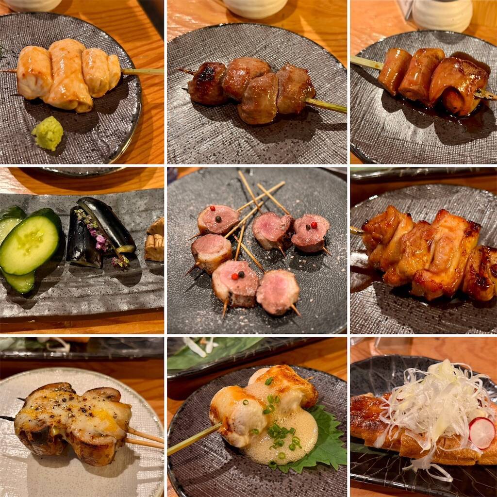 f:id:afromanjaro:20250202133433j:image