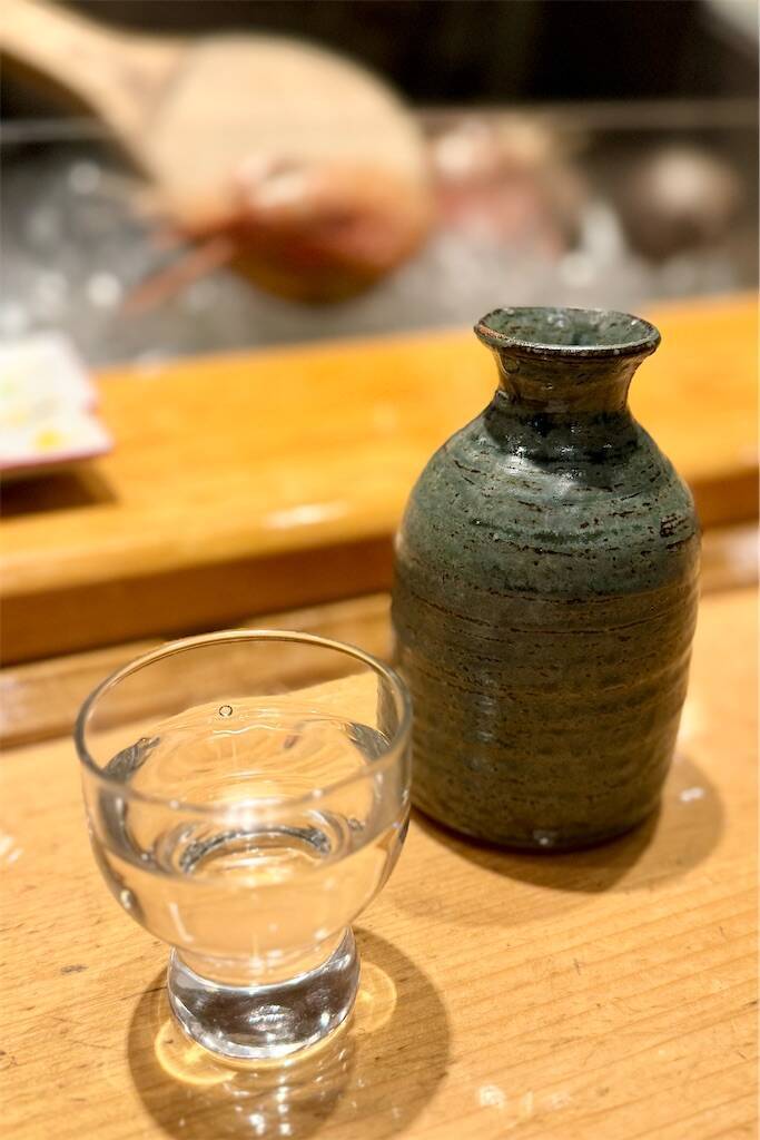 f:id:afromanjaro:20250330144907j:image