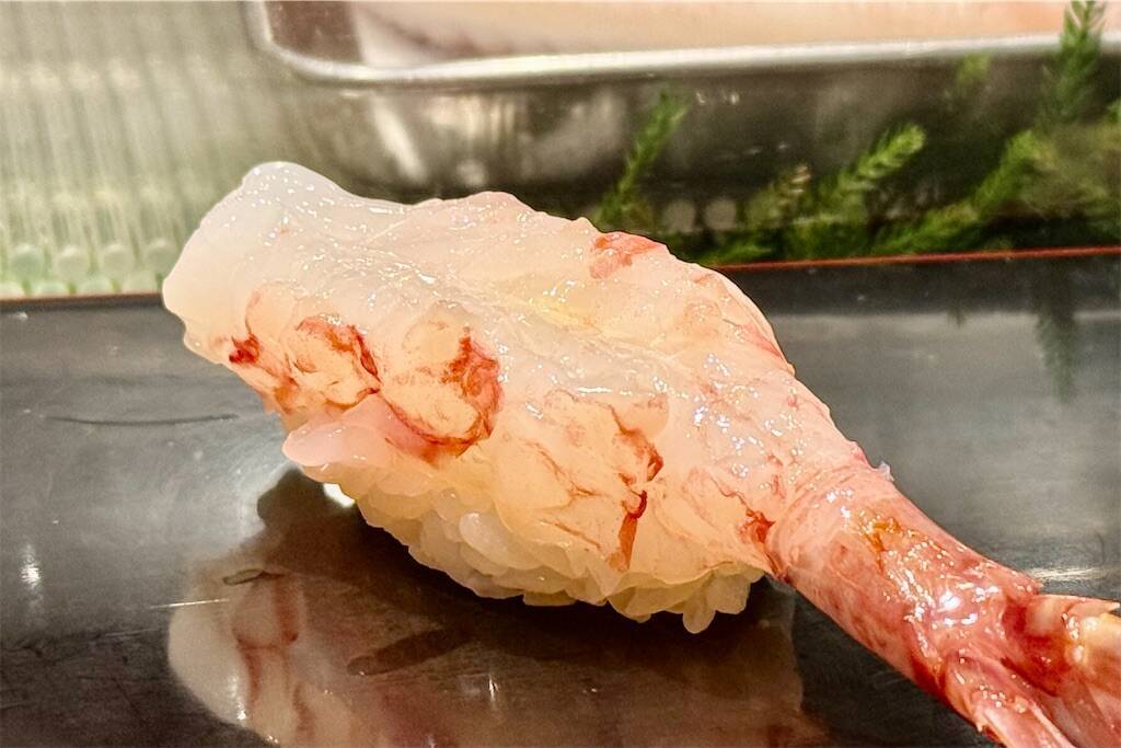 f:id:afromanjaro:20250330144943j:image