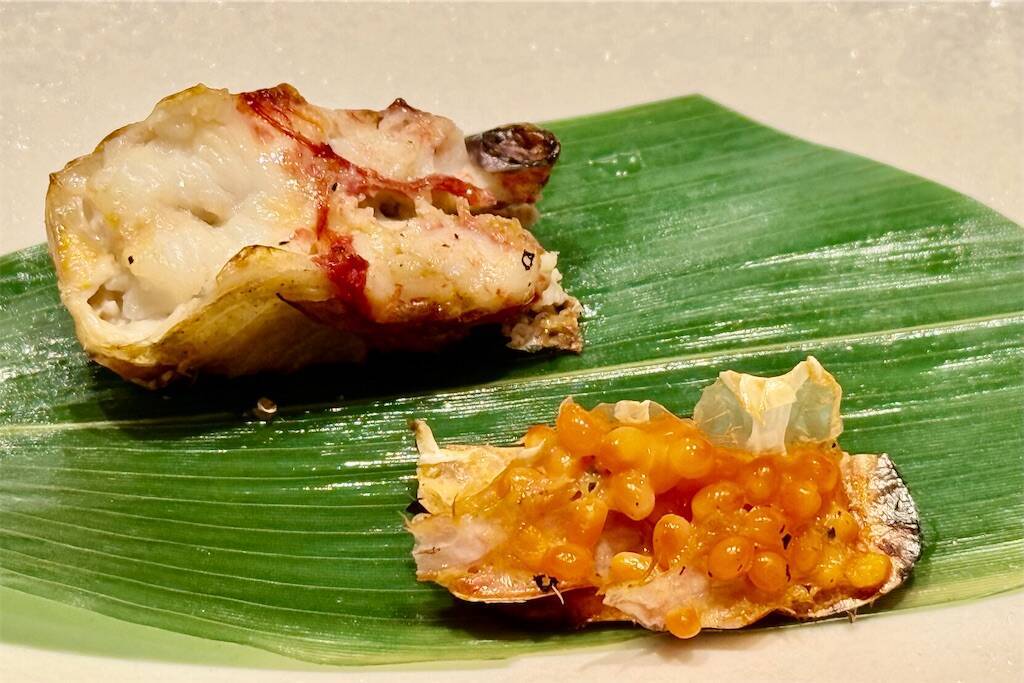 f:id:afromanjaro:20250330144959j:image