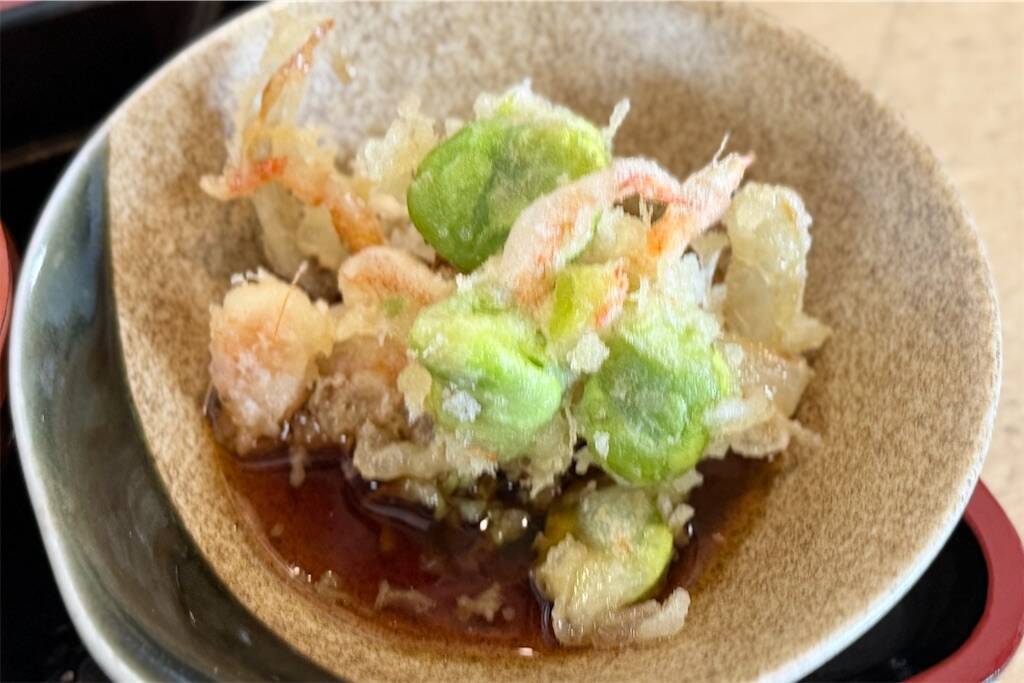 f:id:afromanjaro:20250430101041j:image