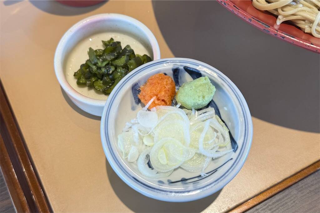 f:id:afromanjaro:20250525202544j:image