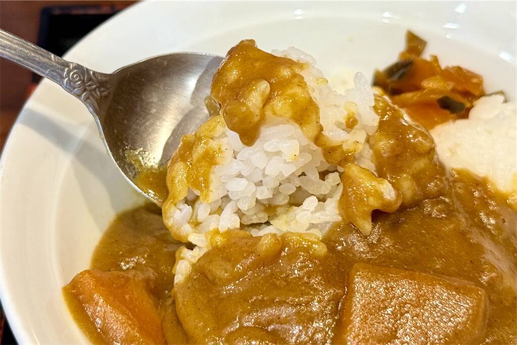 f:id:afromanjaro:20250720212314j:image