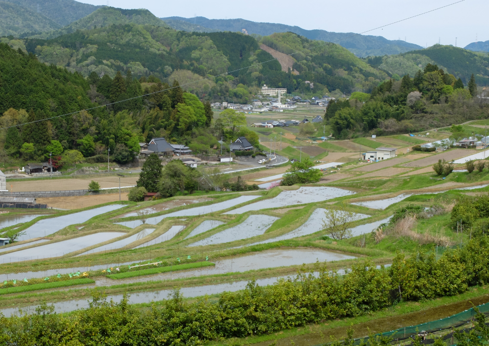 f:id:afterglow0315:20190502181740p:plain f:id:afterglow0315:20190502181740p:plain