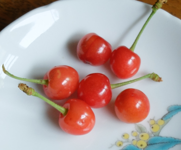 f:id:afterglow0315:20190518153227p:plain f:id:afterglow0315:20190518153227p:plain