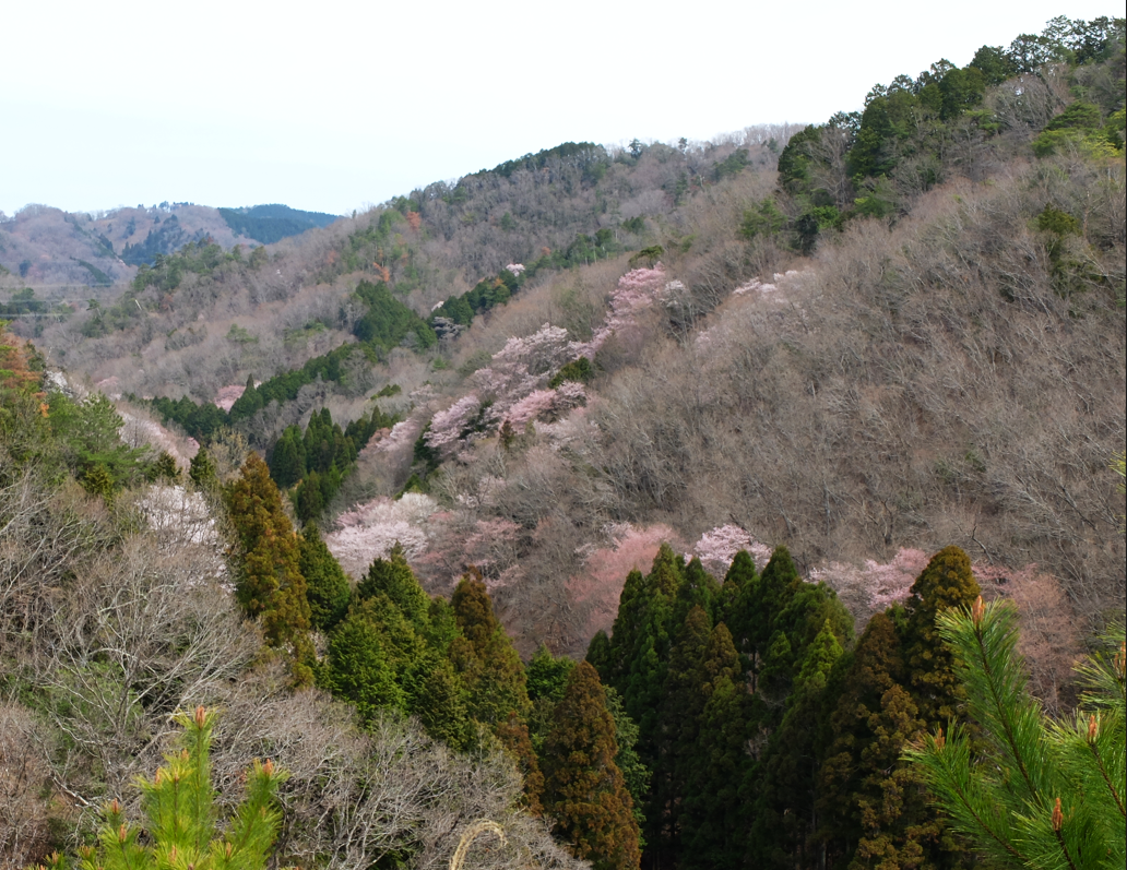 f:id:afterglow0315:20220403163238p:plain