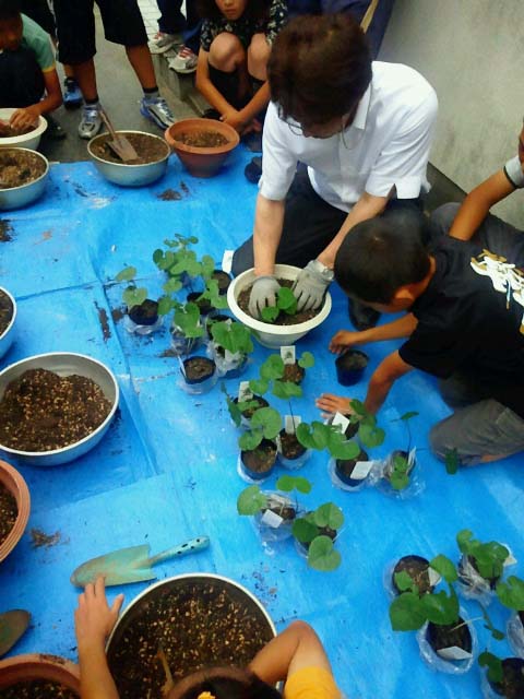 f:id:afuhiproject:20130618093704j:image:w360 f:id:afuhiproject:20130618093704j:image:w360