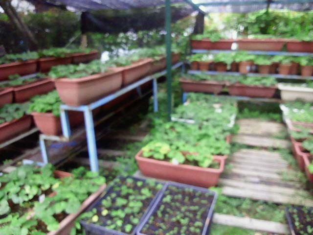 f:id:afuhiproject:20130618094107j:image:w360 f:id:afuhiproject:20130618094107j:image:w360