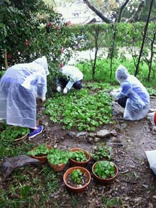 f:id:afuhiproject:20150410115200j:image:right f:id:afuhiproject:20150410115200j:image:right