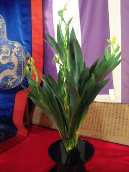 f:id:afuhiproject:20160713211300j:image:left