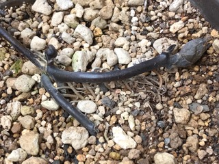 f:id:afuhiproject:20170123090414j:image:left