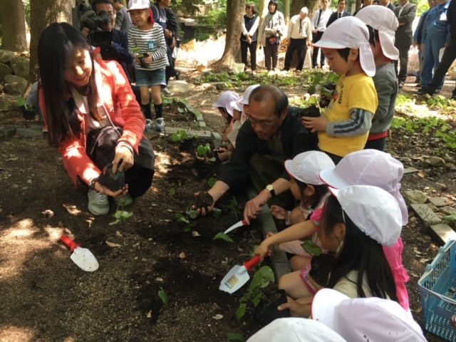 f:id:afuhiproject:20181022101413j:image:w360:left