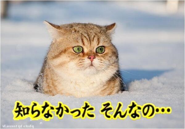 シラナカッタソンナノ と オマエハナニヲイッテイルンダ Afurikamaimaiのブログ