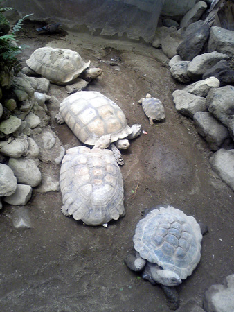 f:id:afuro-boya:20090805105437j:image