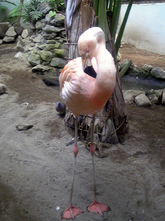 f:id:afuro-boya:20090805105717j:image