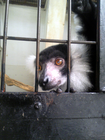 f:id:afuro-boya:20090805111455j:image
