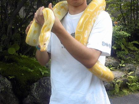 f:id:afuro-boya:20090805112309j:image