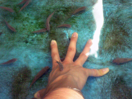 f:id:afuro-boya:20090805113216j:image