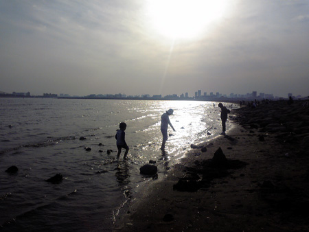 f:id:afuro-boya:20100509164433j:image