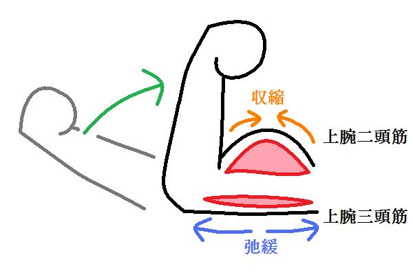 f:id:afurufuru:20200810102116j:plain