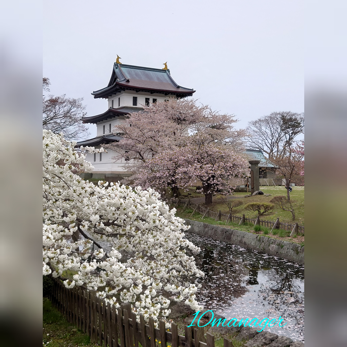 f:id:again-hokkaido-10manager:20210507171037j:plain