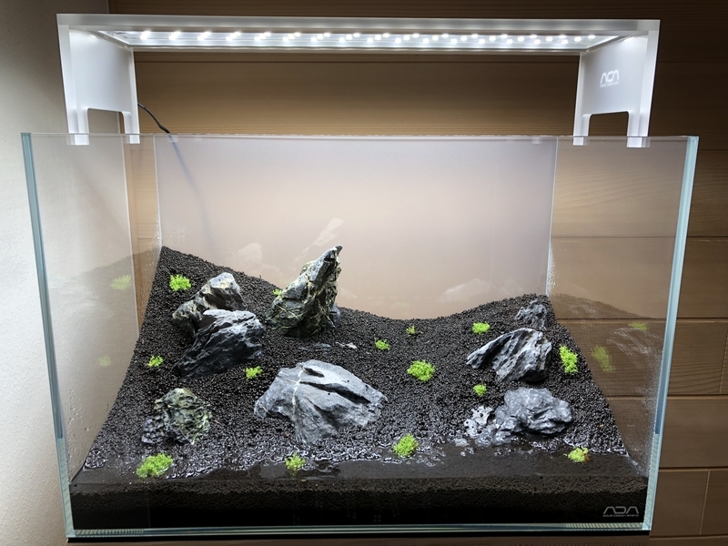 ０から始める水草水槽 ミスト式編 Grass Land