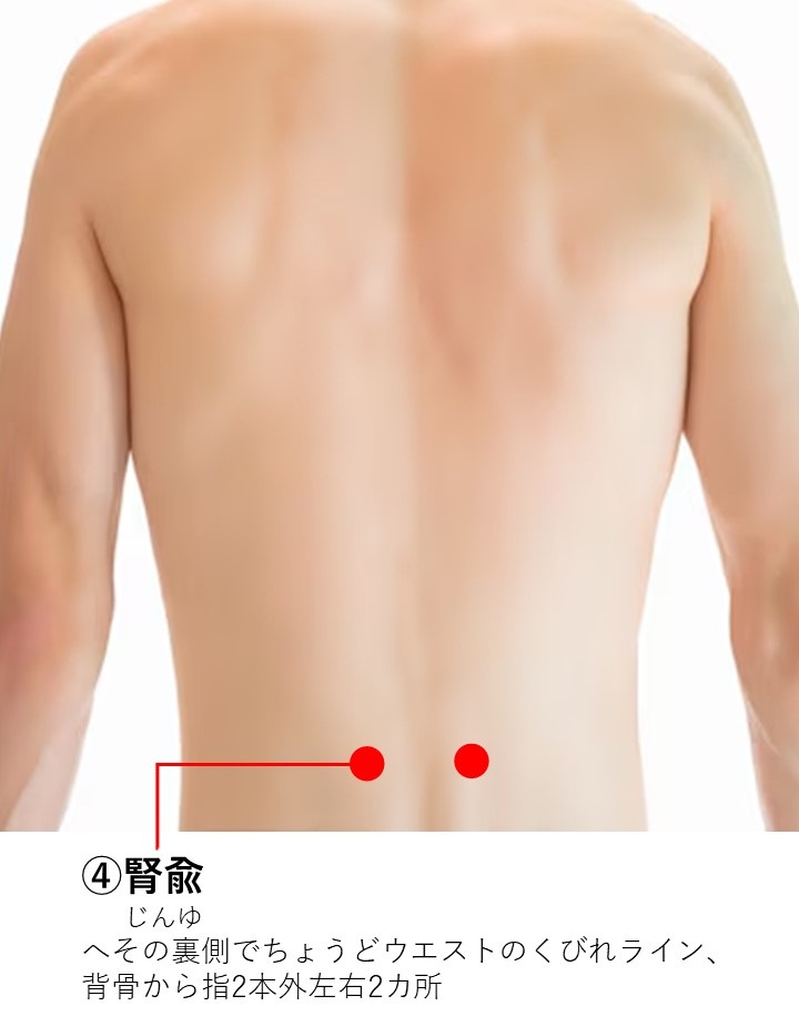 テストステロンの分泌に効くツボ2