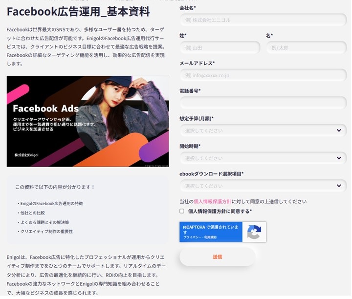 Facebook広告運用資料請求ページ