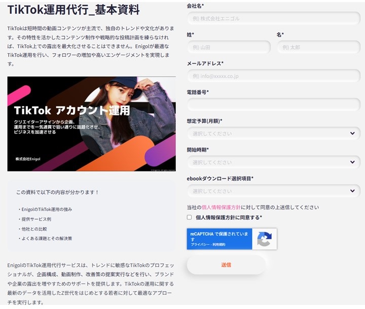 TikTok広告運用資料請求ページ